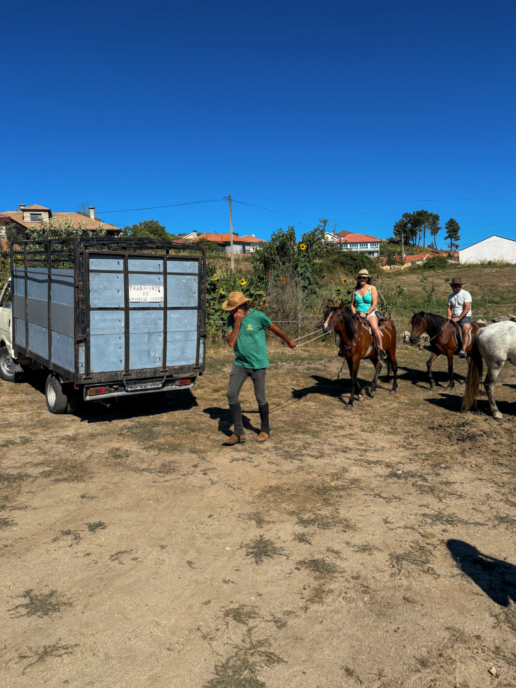 Horseback Ride Through the Majestic Douro in Porto