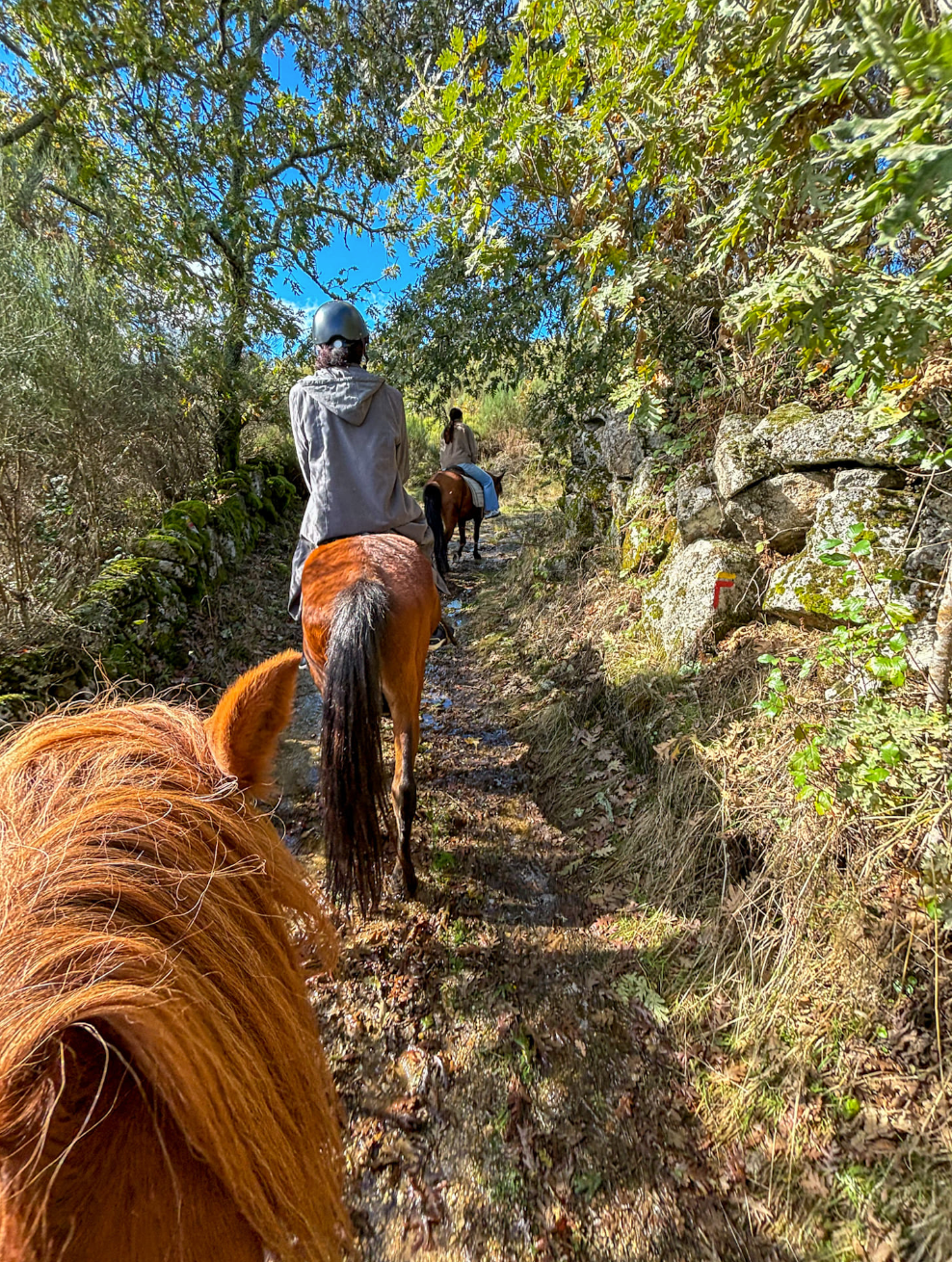 Horseback Ride Through the Majestic Douro in Porto
