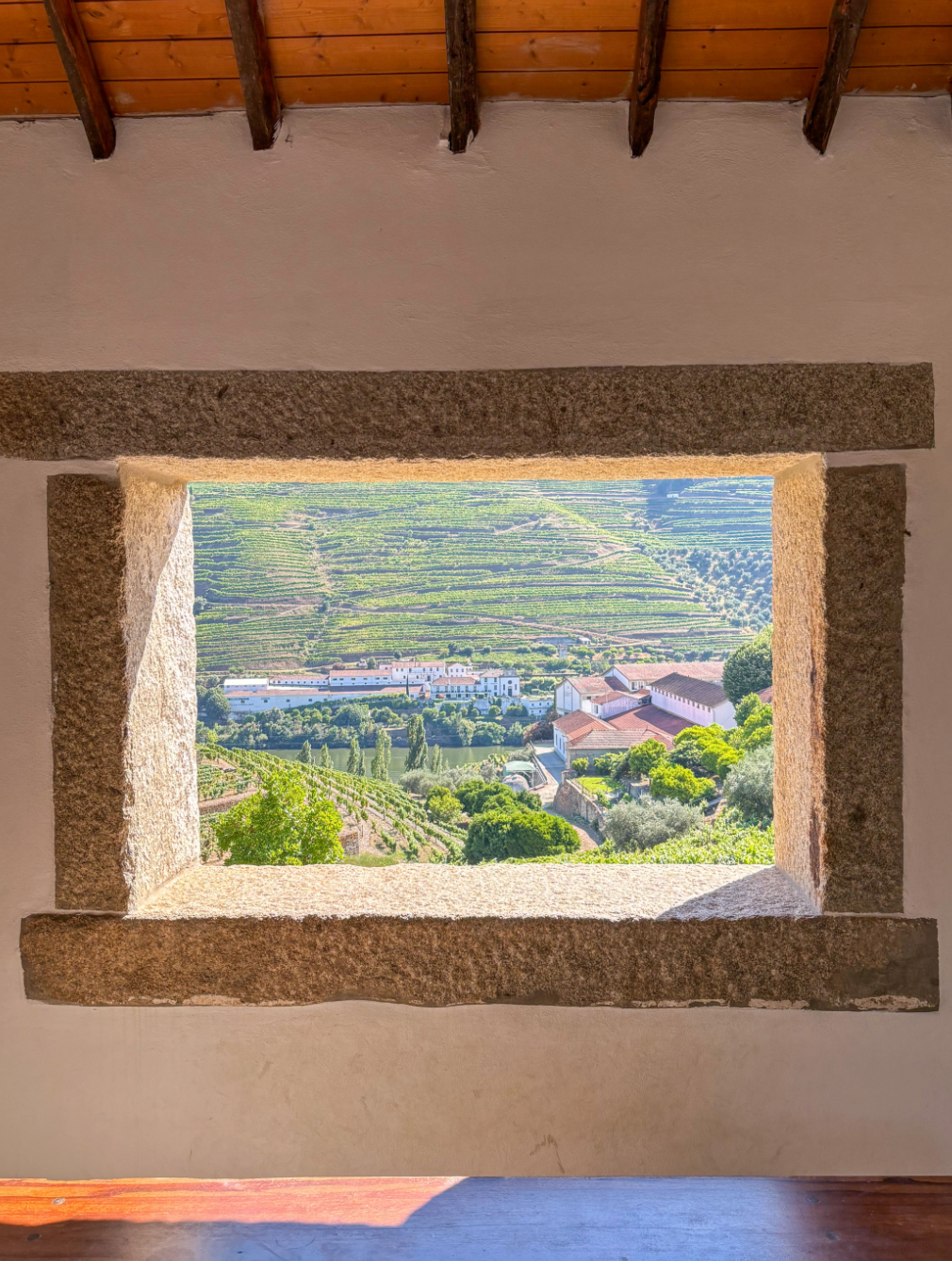 Day with Food, Wine & Boat in Douro Valley in Porto