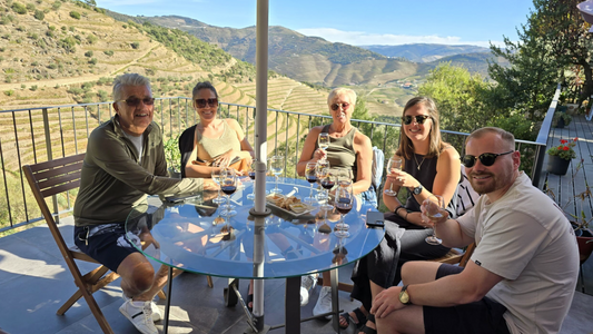 Wineries, Lunch, Cruise and Mercedes Van in Douro Valley in Porto