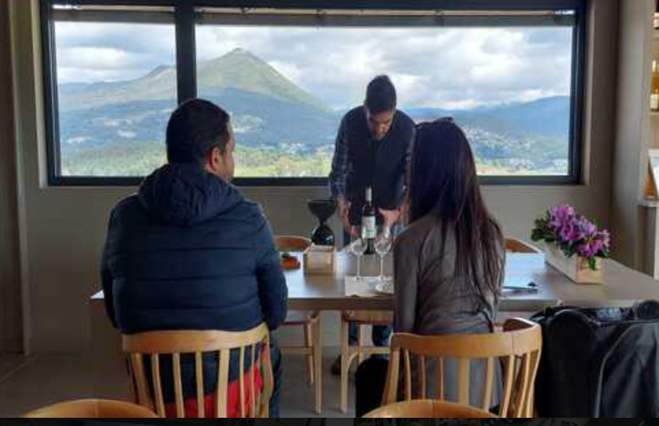 Wine Tour in Vinho Verde Route near Porto