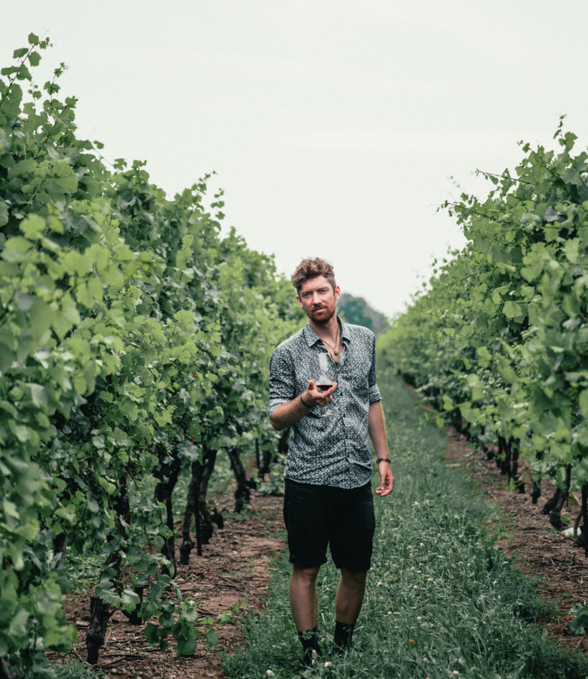 Douro Valley Private Wine Tour near Porto