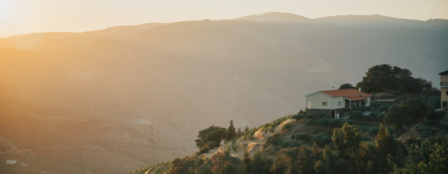 Douro Valley Private Wine Tour near Porto