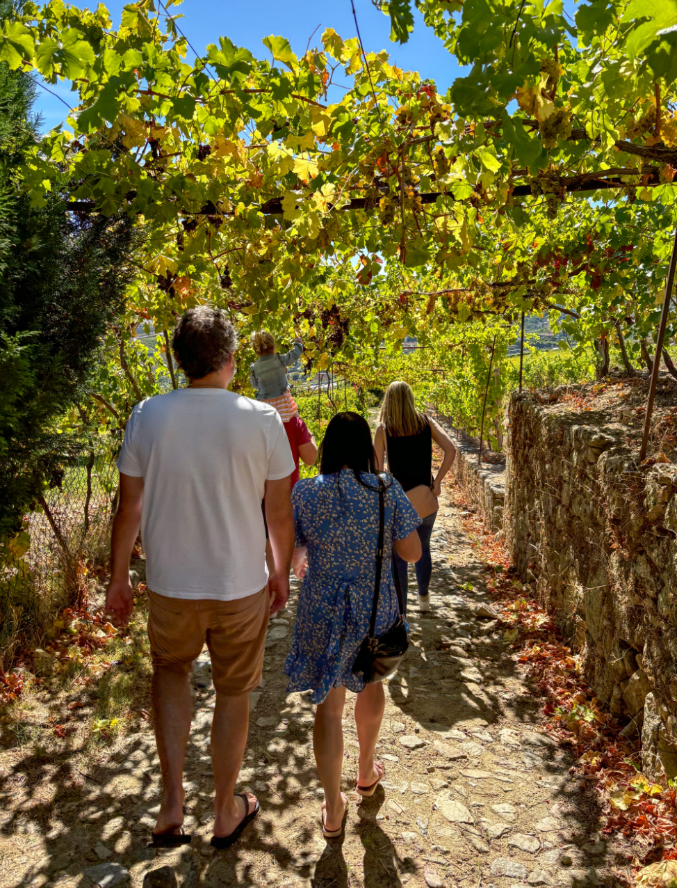 Day with Food, Wine & Boat in Douro Valley in Porto