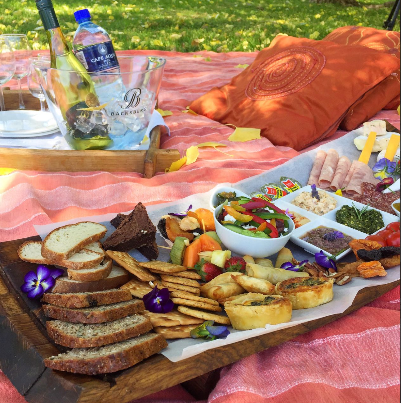 Horseback Day Rides in the Cape Winelands