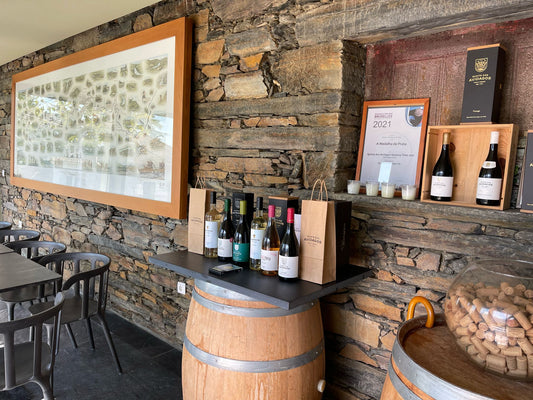 Wine Tasting at Quinta dos Avidagos near Porto