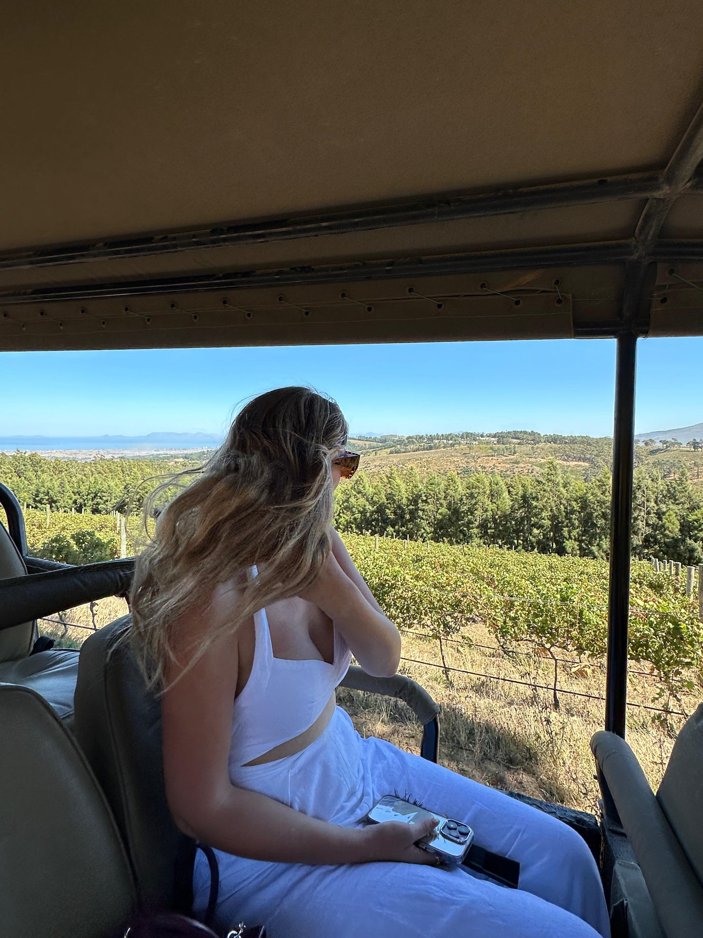 Cape Town: Gourmet Safari & Three-Course Feast