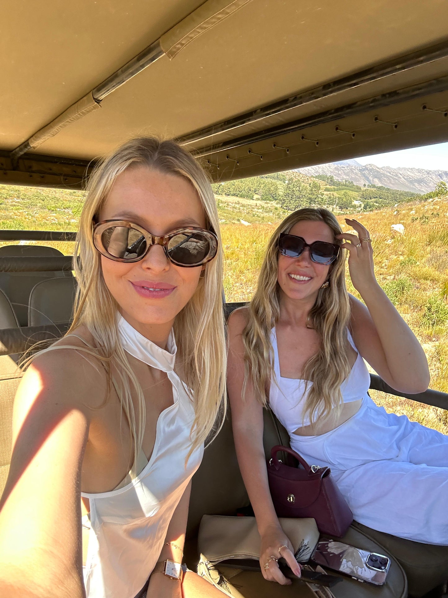 Cape Town: Gourmet Safari & Three-Course Feast