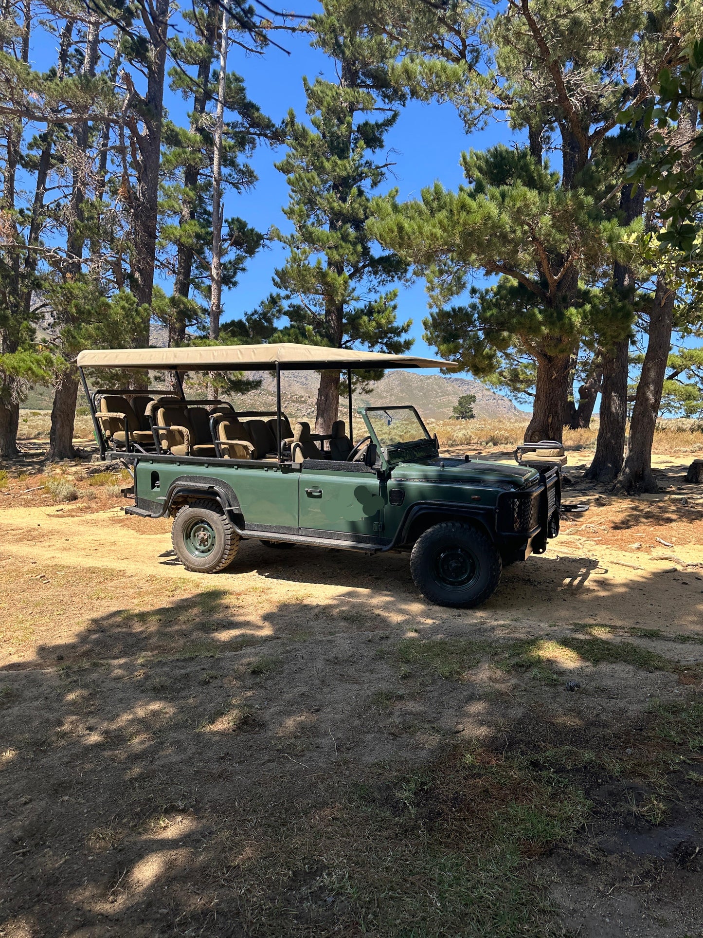 Cape Town: Gourmet Safari & Three-Course Feast