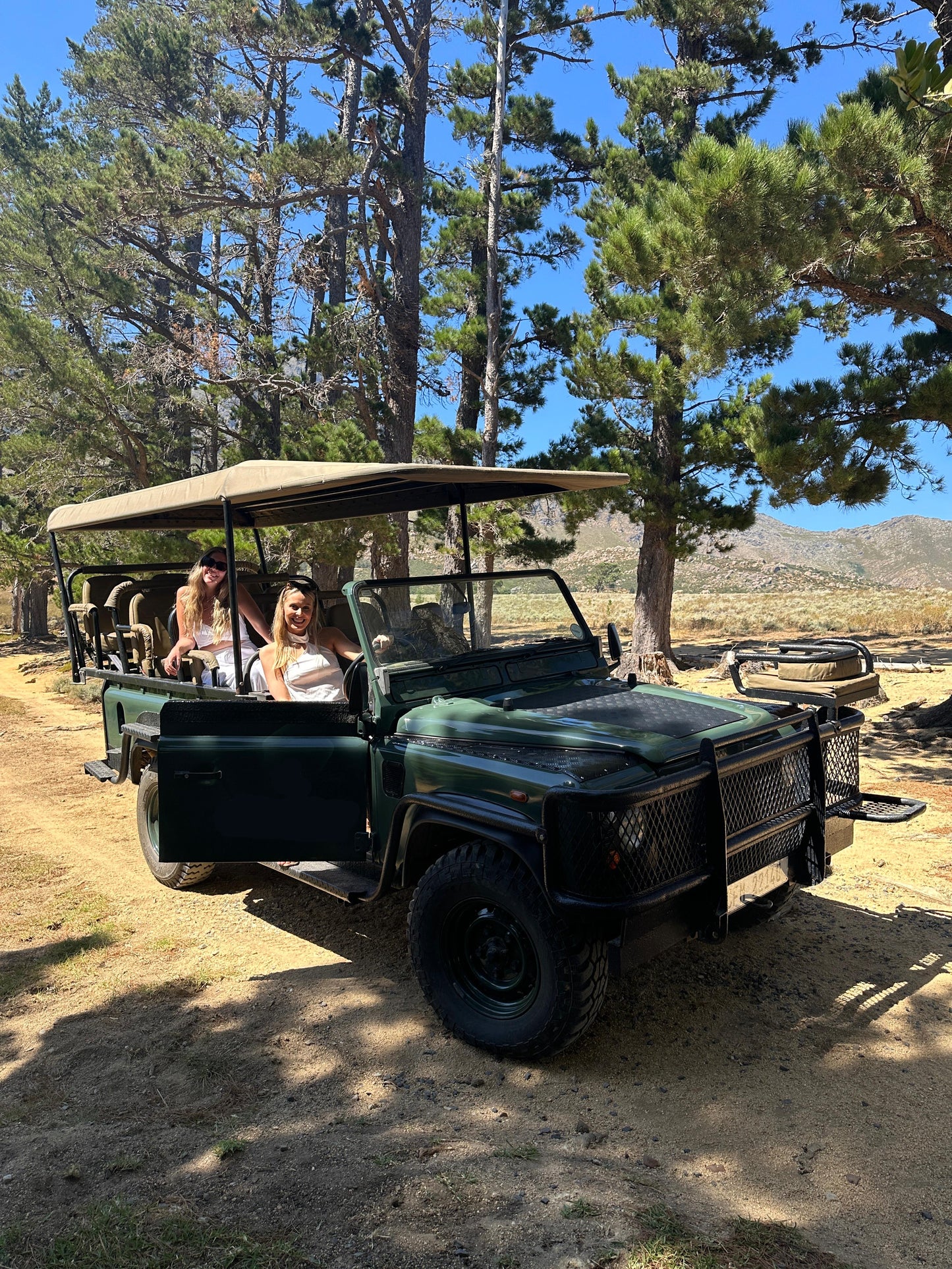 Cape Town: Gourmet Safari & Three-Course Feast