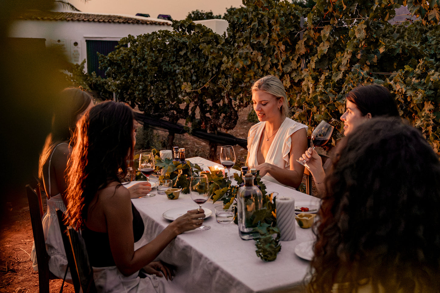 Barcelona: Full Gourmet Pairing Experience in the Vineyards + Horse Healing