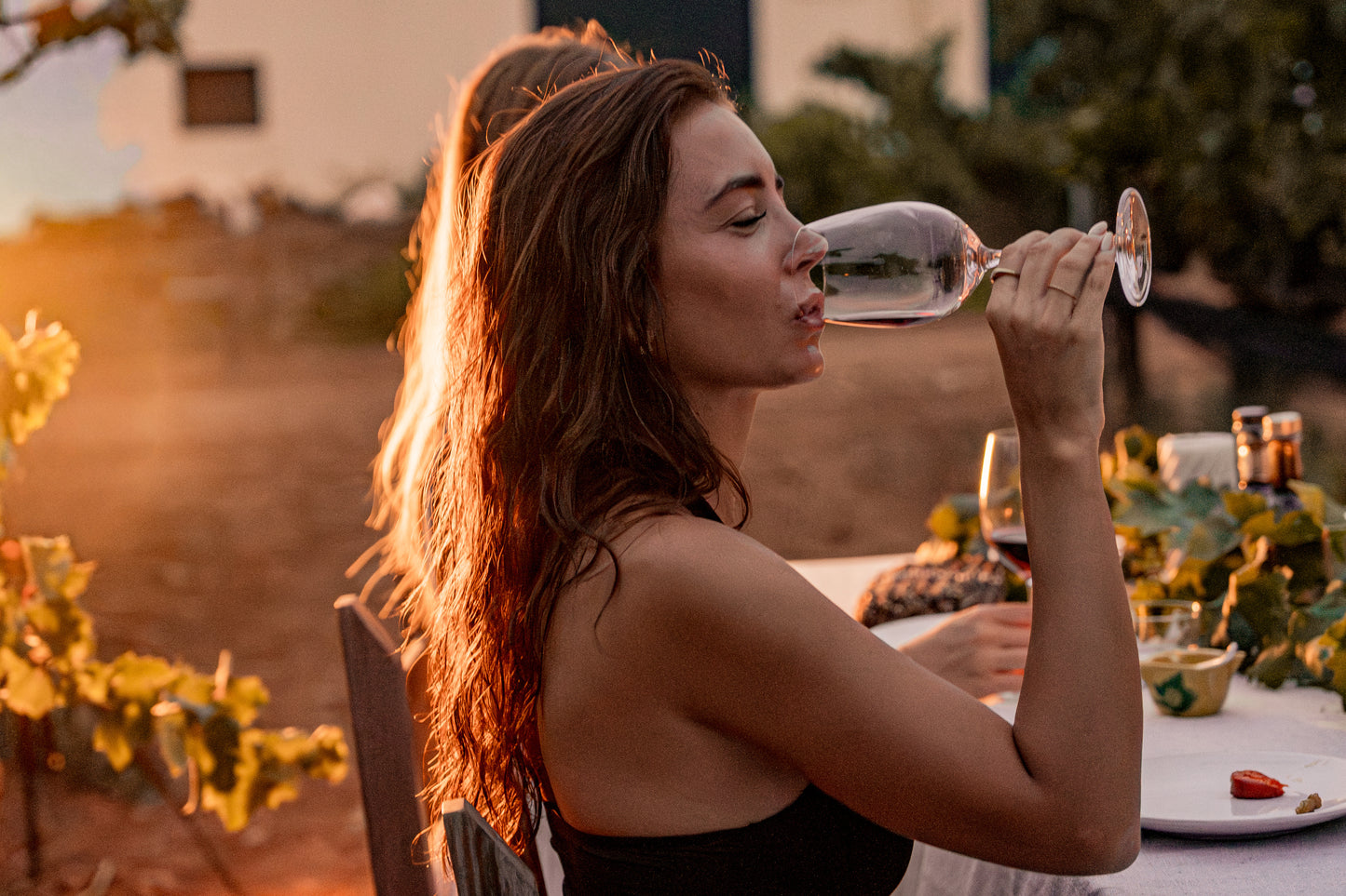 Barcelona: Full Gourmet Pairing Experience in the Vineyards + Horse Healing