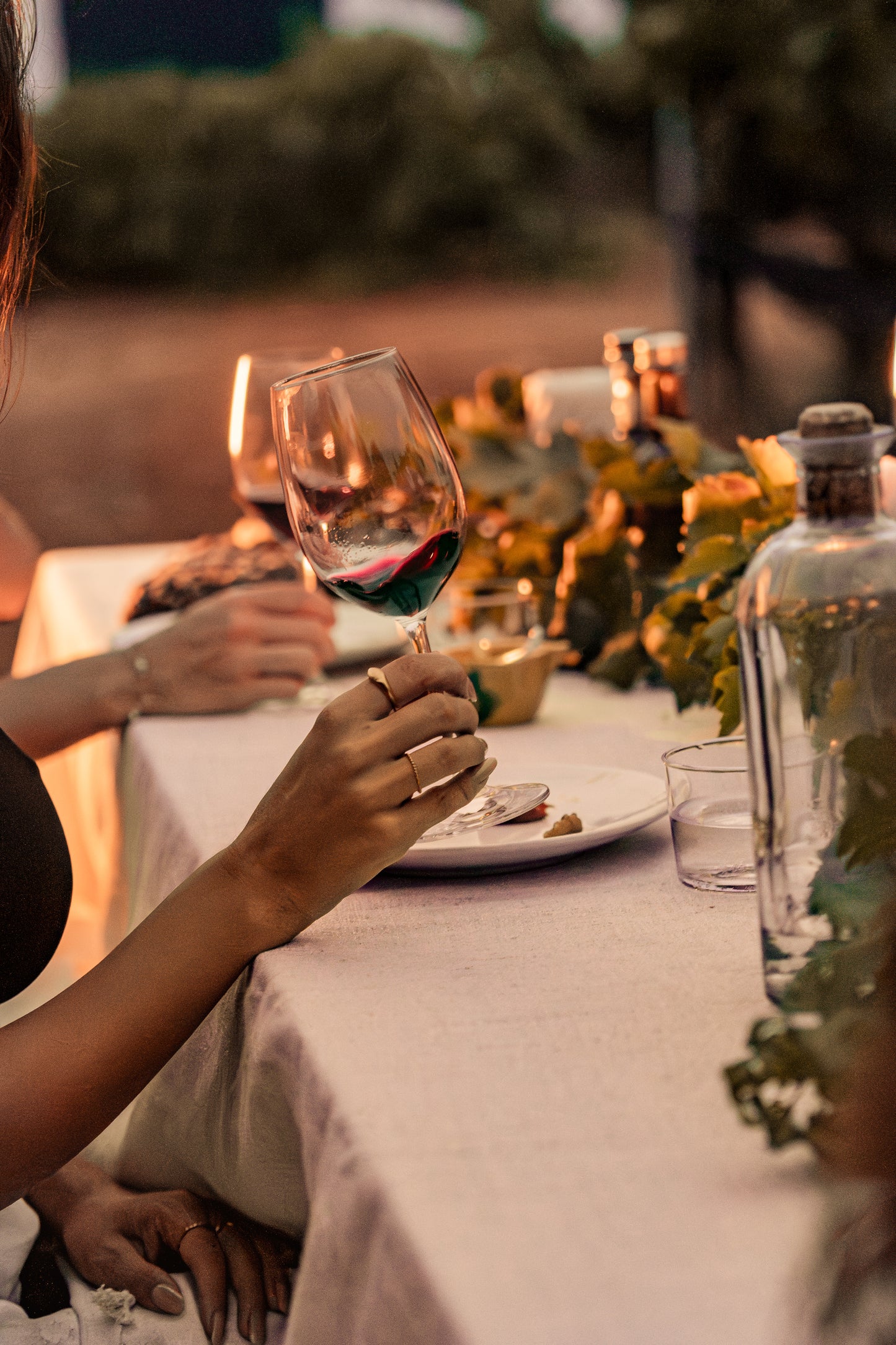 Barcelona: Full Gourmet Pairing Experience in the Vineyards + Horse Healing