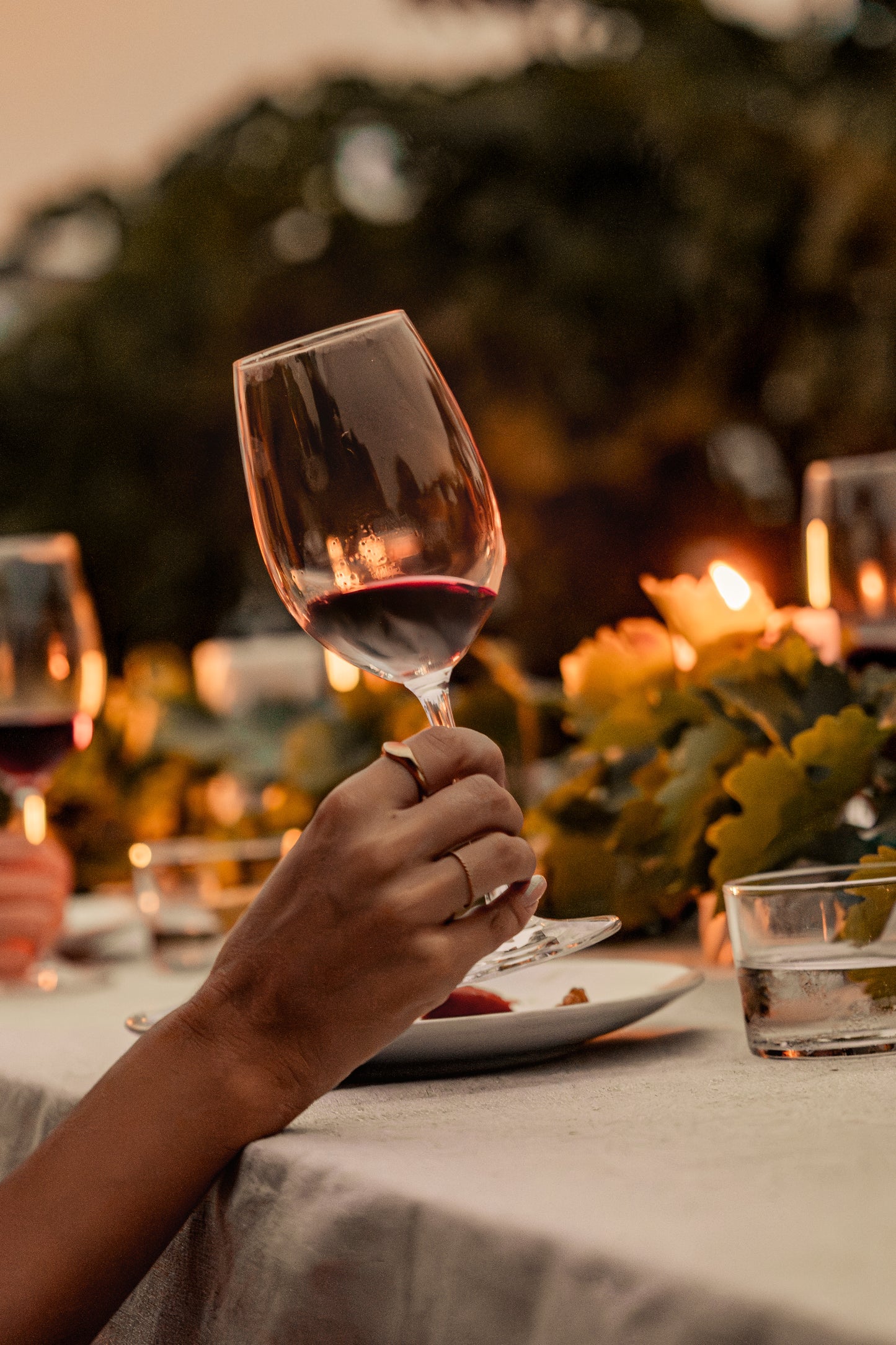 Barcelona: Full Gourmet Pairing Experience in the Vineyards + Horse Healing