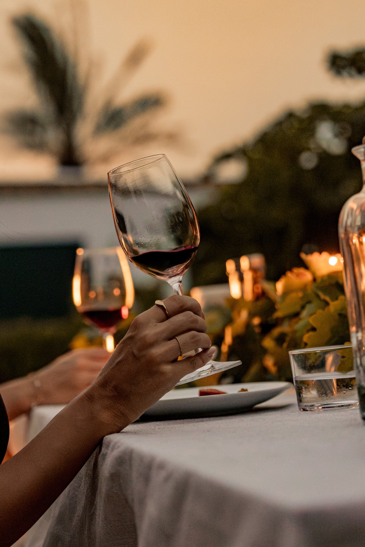 Barcelona: Full Gourmet Pairing Experience in the Vineyards + Horse Healing