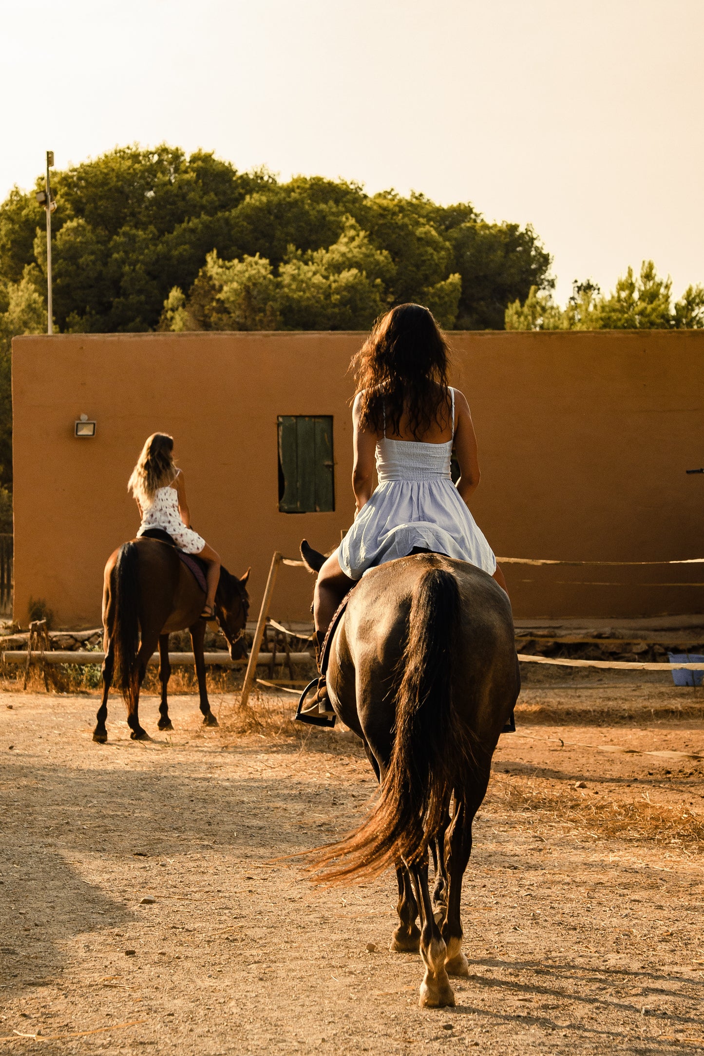New South Wales: Private 1-Hour Vineyard and Bush Horse Ride