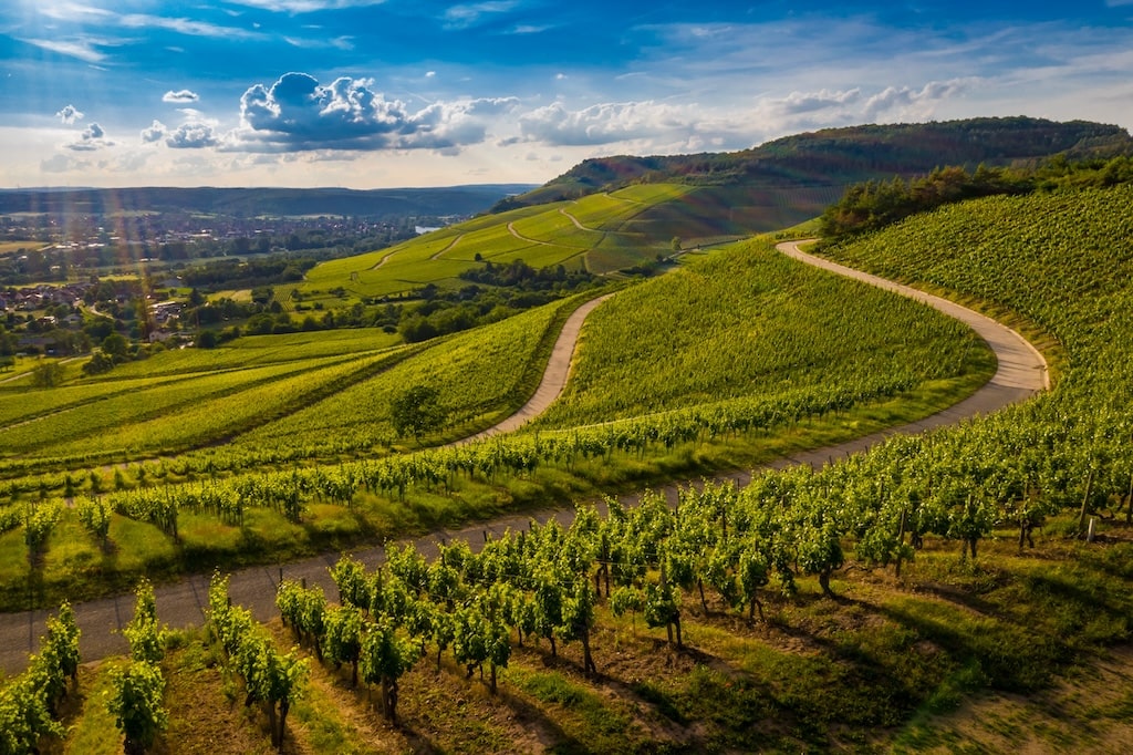 Private Wachau Valley Wine Tour from Vienna
