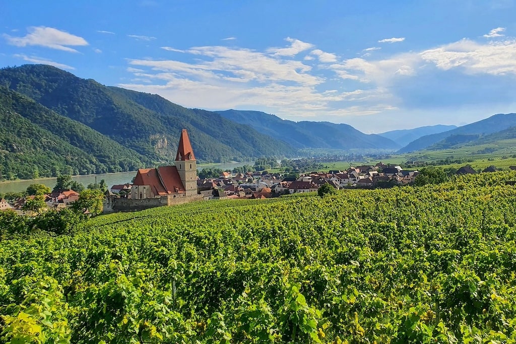 Private Wachau Valley Wine Tour from Vienna