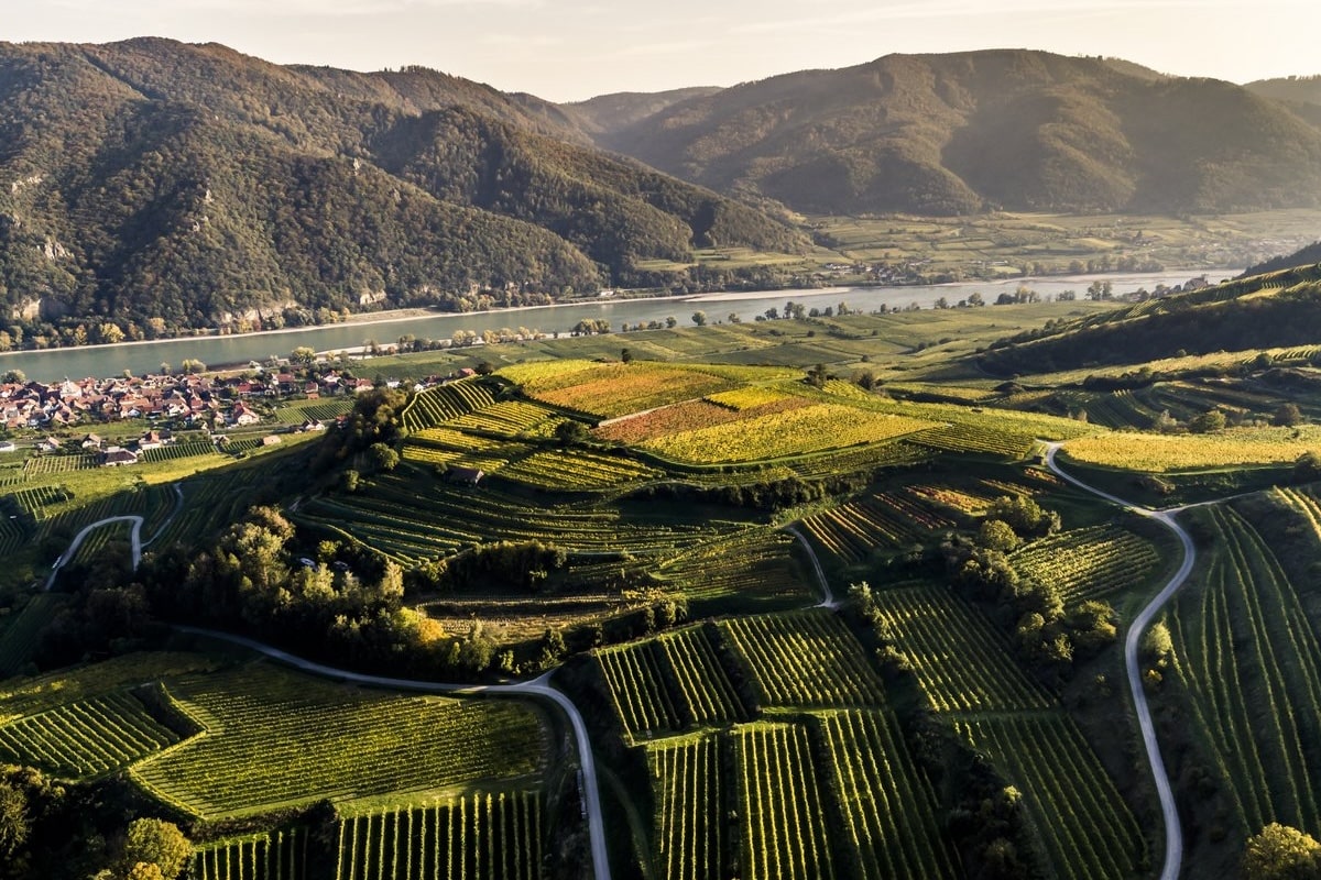 Private Wachau Valley Wine Tour from Vienna