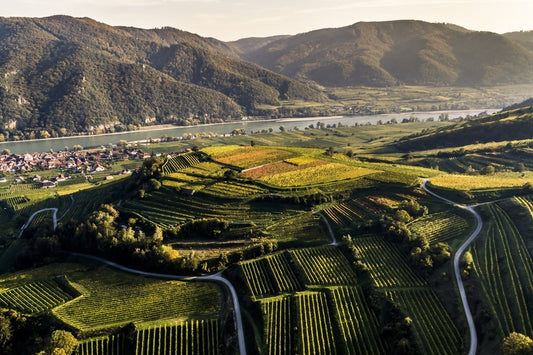 Private Wachau Valley Wine Tour from Vienna