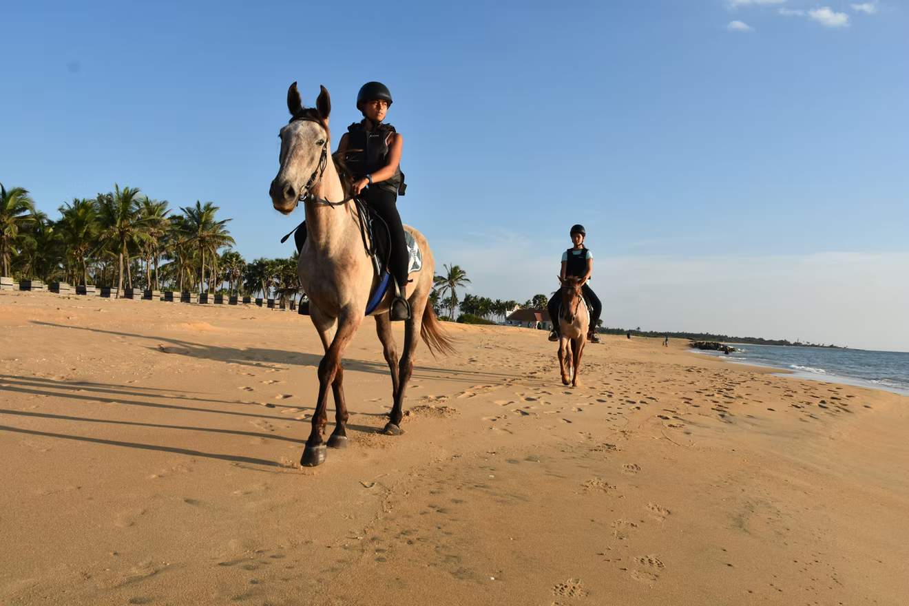 Horseback Riding in Sri Lanka