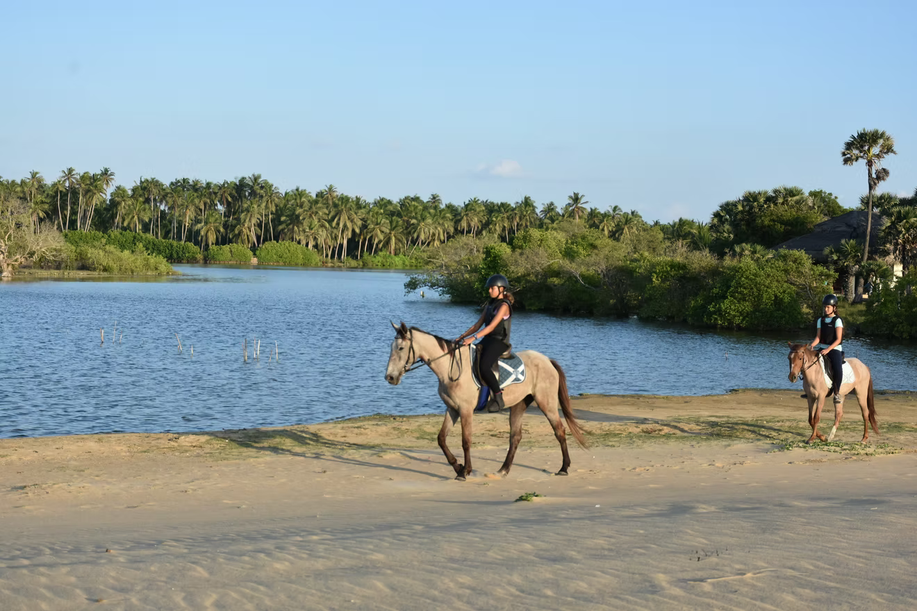 Horseback Riding in Sri Lanka