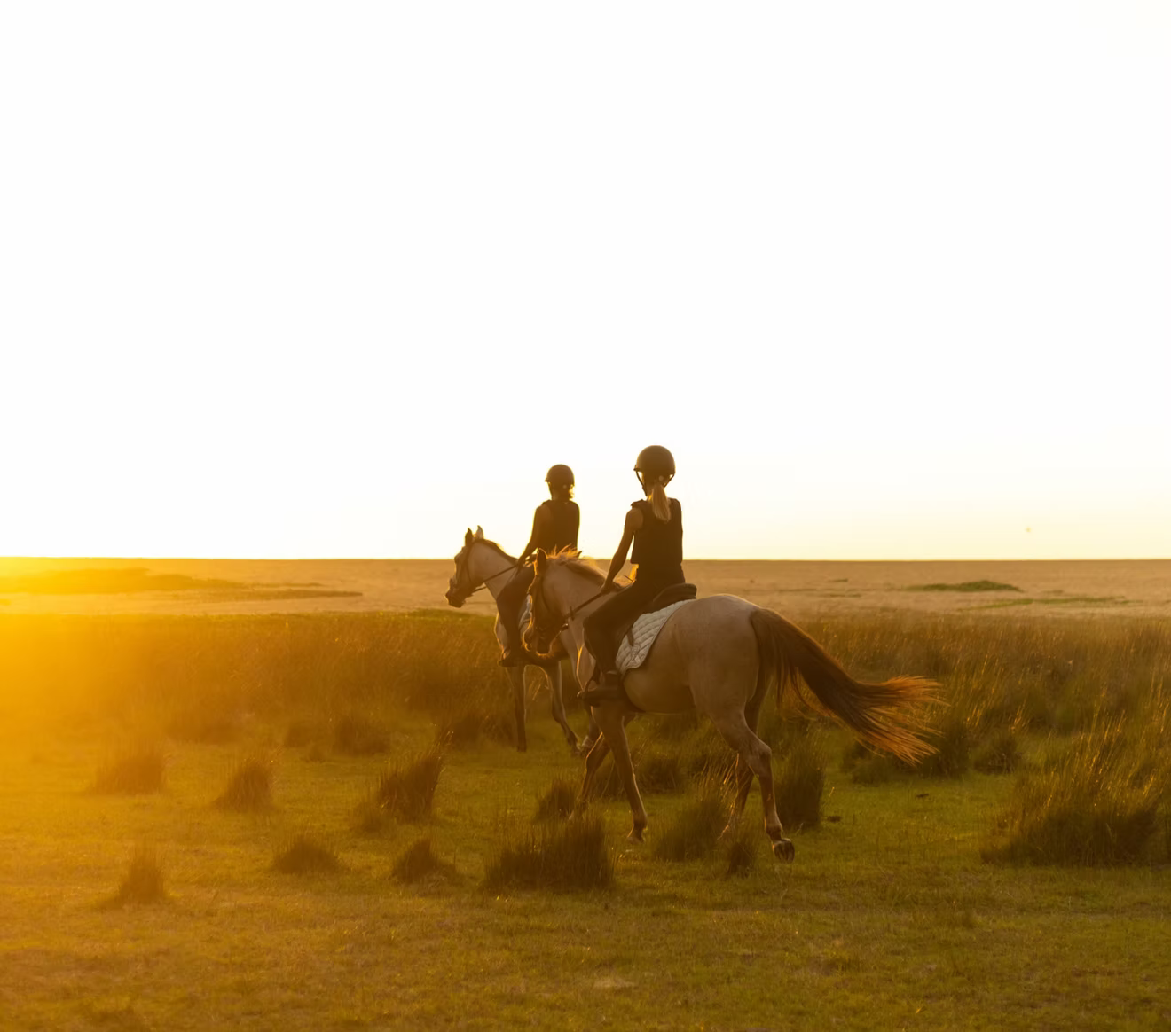 Horseback Riding in Sri Lanka