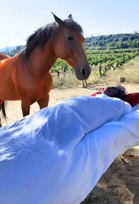 Barcelona: Penedés Simple Wine & Exclusive Cava Tasting + Horse Healing + Pool Day + Yoga