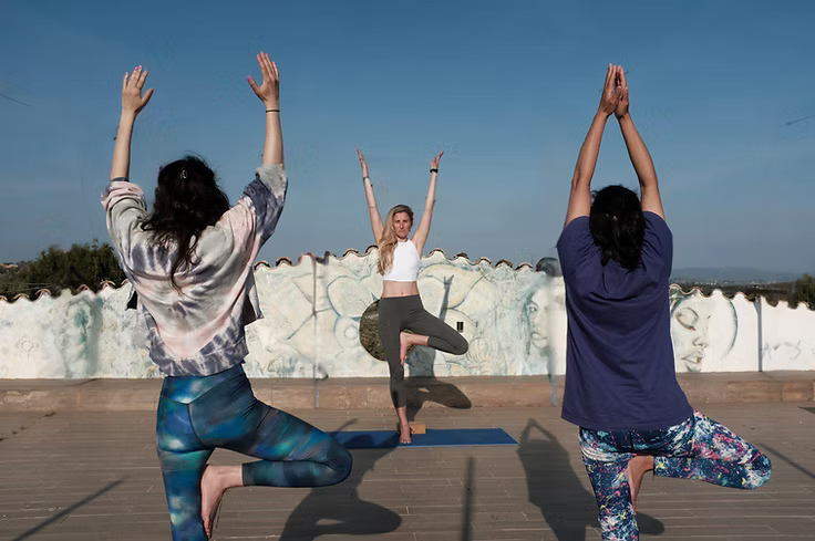 Barcelona: Full Gourmet Pairing Experience in the Vineyards + Horse Healing