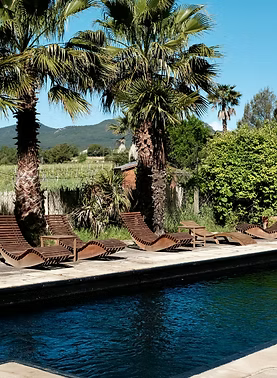 Barcelona: Full Gourmet Pairing Experience in the Vineyards + Horse Healing