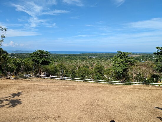 Palawan: Panoramic Trail Horseback Ride + Pick-up Available