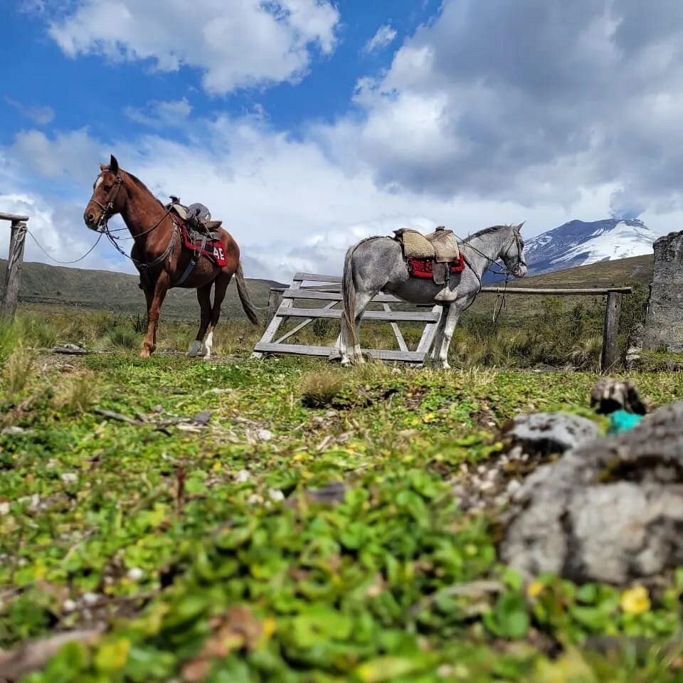 Latacunga: Full Day High Trail Riding Adventure + Hotel Pick-up + Lunch