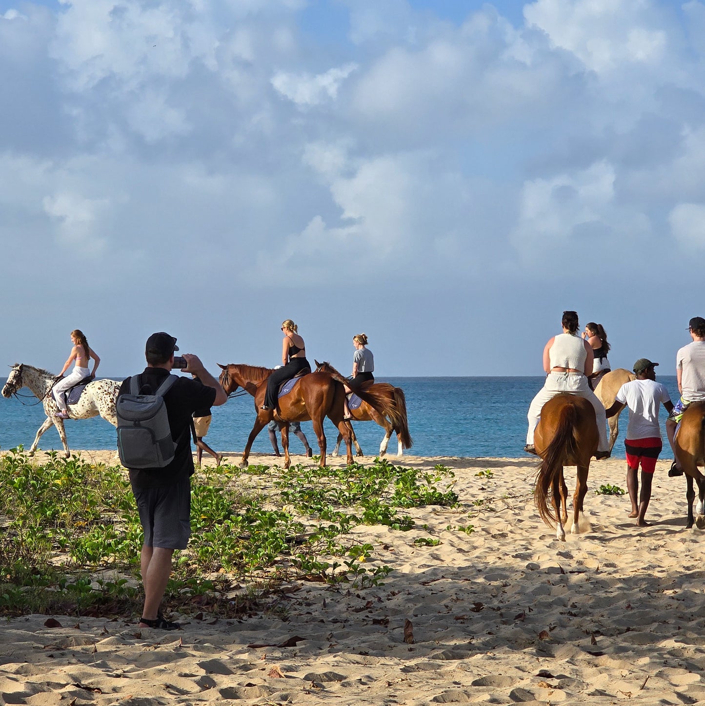 Brighton Beach, Barbados: 1.5-Hour Beach Ride & Swim with Horses