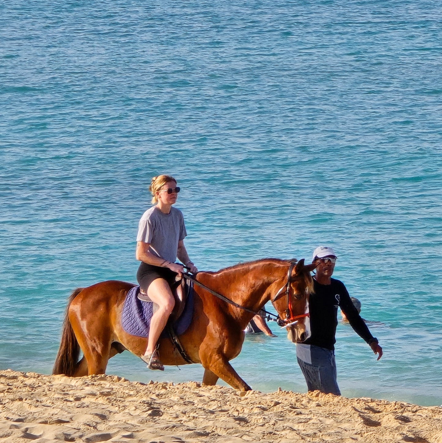 Brighton Beach, Barbados: 1.5-Hour Beach Ride & Swim with Horses