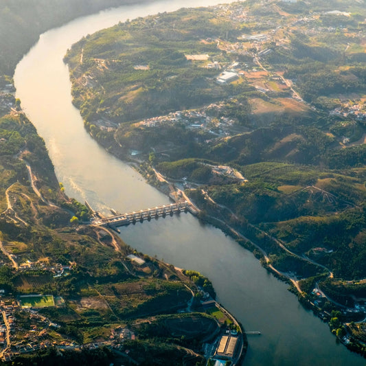 Douro Valley Wine Tour in Porto