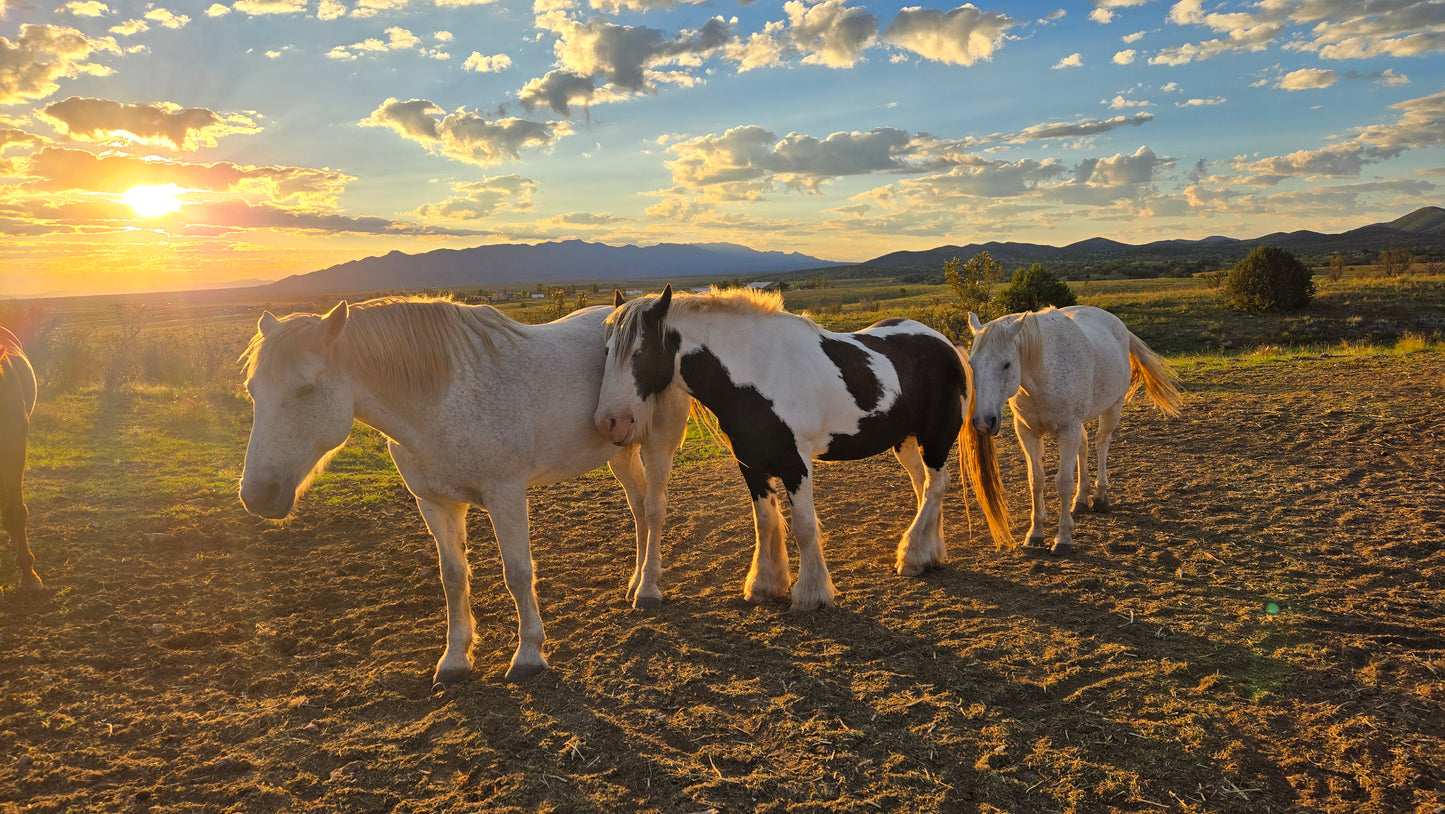 Elgin: Peak Horse Ride Trail Adventure