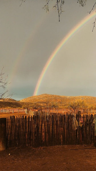 Elgin: Full-Day Horseback Ride Trek Journey + Lunch