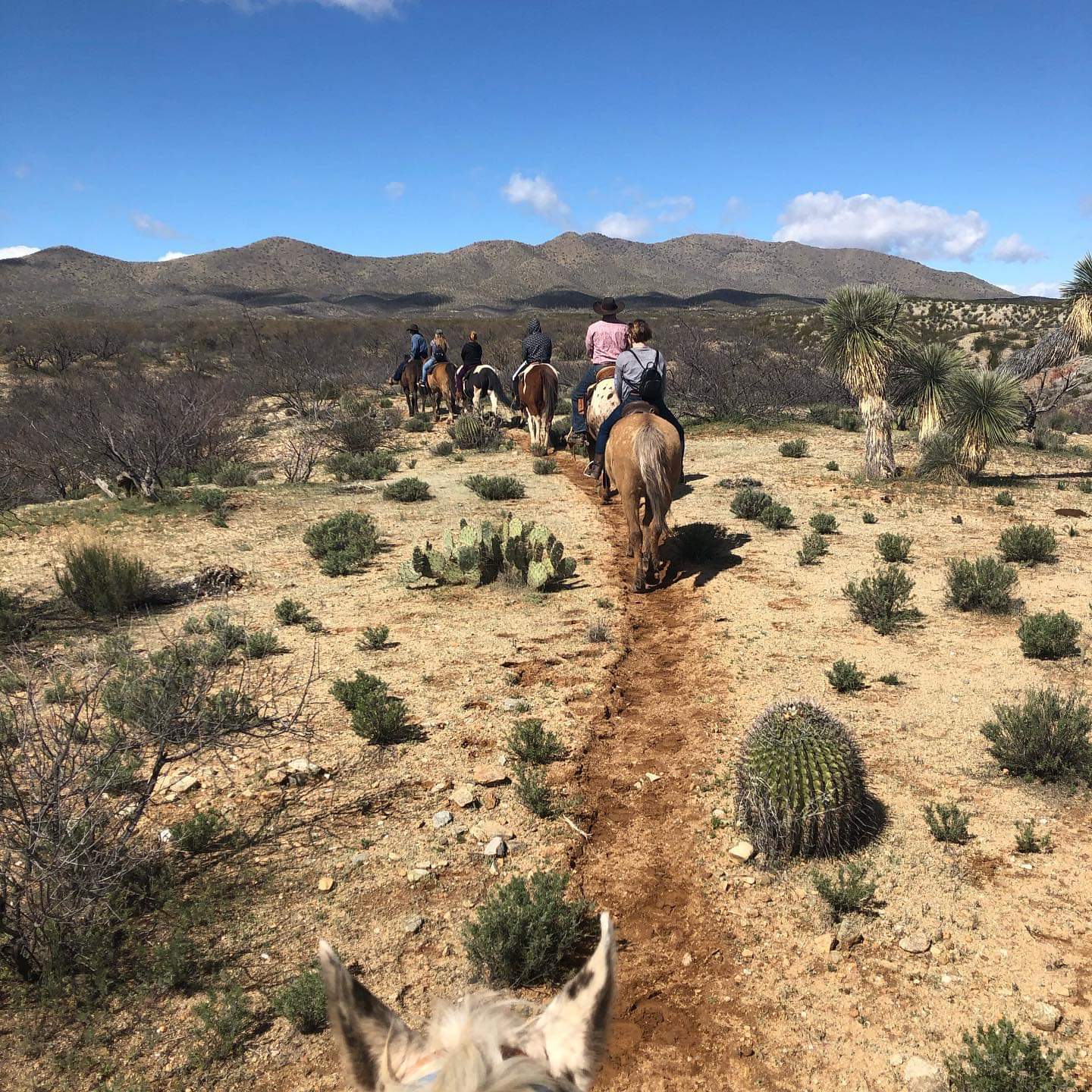 Elgin: Full-Day Horseback Ride Trek Journey + Lunch
