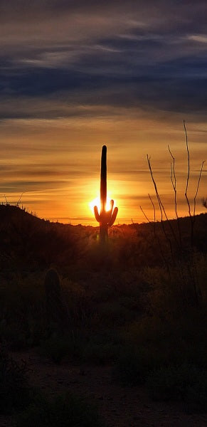 Elgin: Full-Day Horseback Ride Trek Journey + Lunch