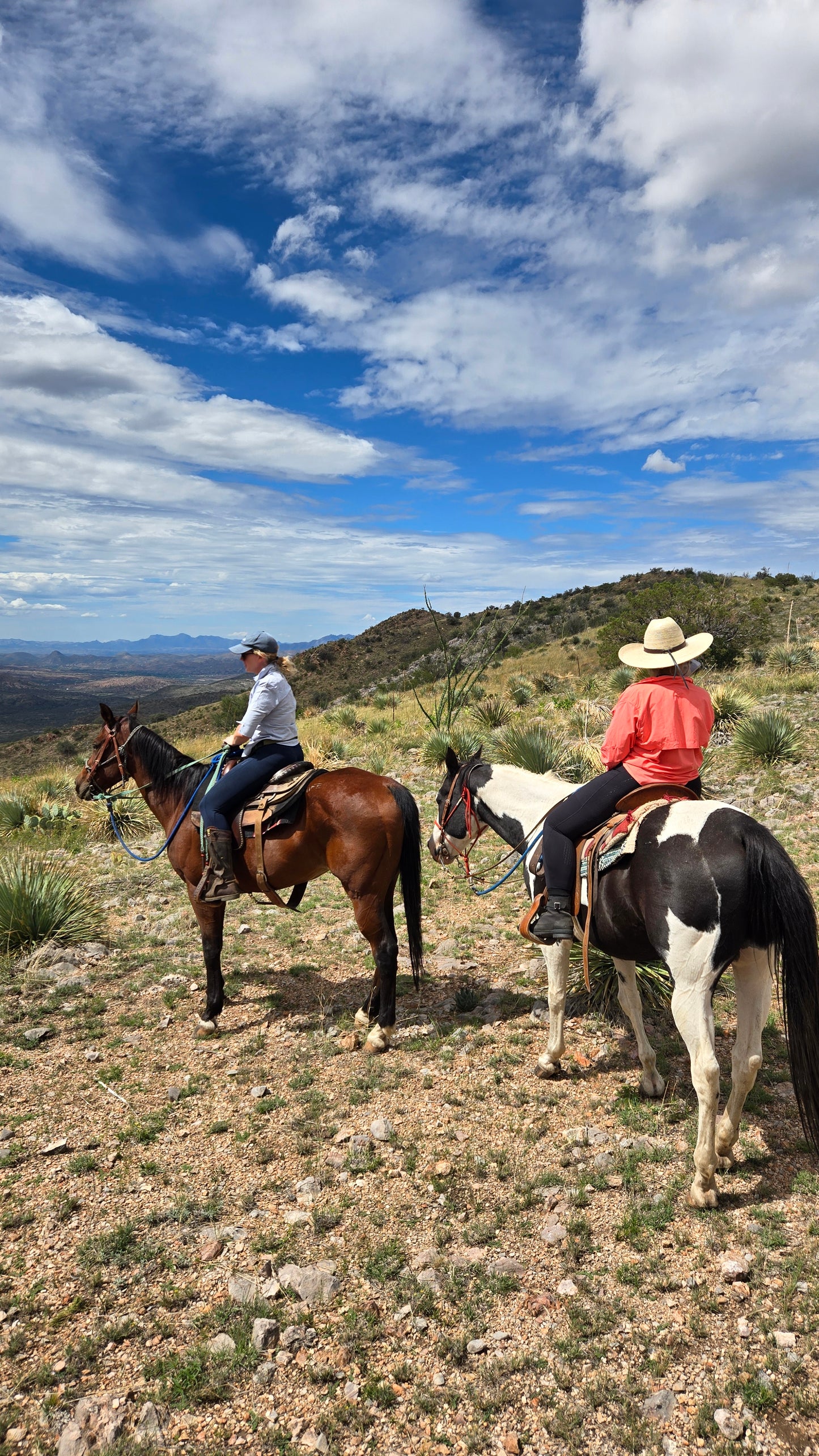 Elgin: Peak Horse Ride Trail Adventure