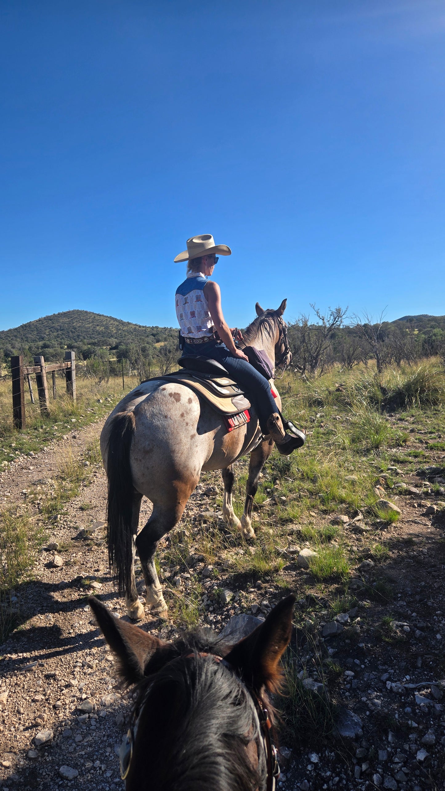 Elgin: Peak Horse Ride Trail Adventure