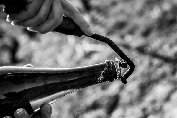 Private Champagne Wine Tour