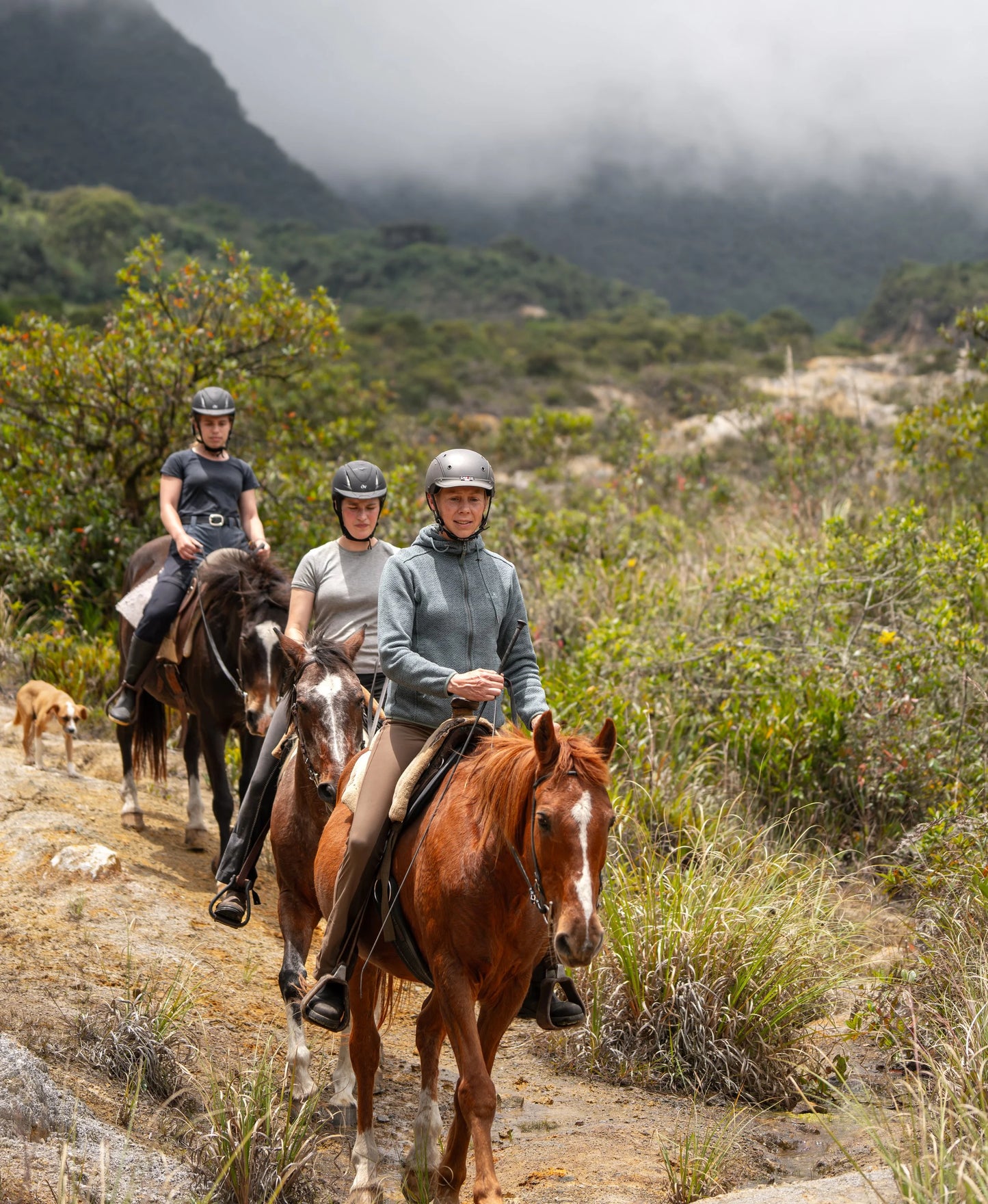Pichincha: Private Heartwood Horse Adventure + Lunch + Beverages + Hotel Pick-up