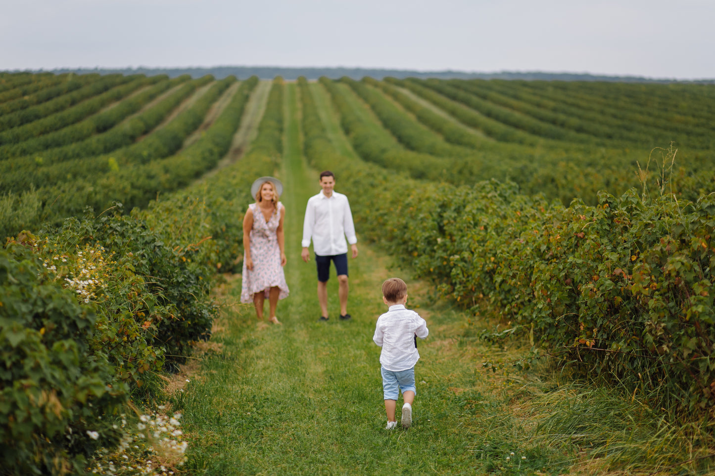 Wine Tour in Vinho Verde Route near Porto