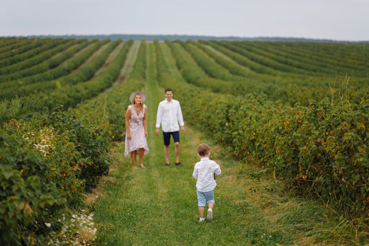 Wine Tour in Vinho Verde Route near Porto