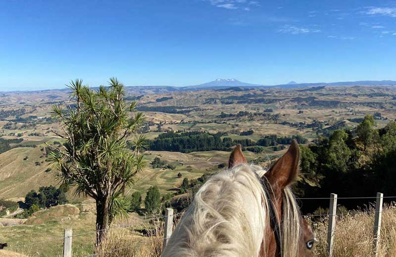 A Full-Day Ride in New Zealand’s Hill Country
