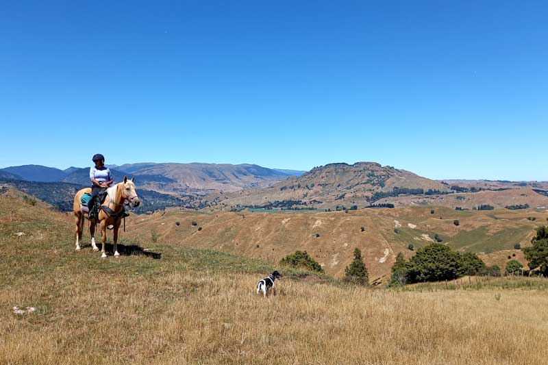 A Full-Day Ride in New Zealand’s Hill Country