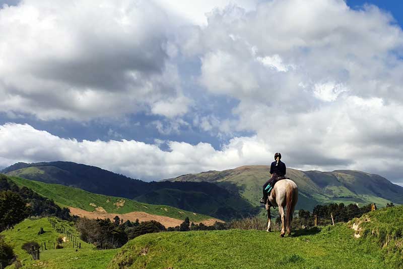 A Full-Day Ride in New Zealand’s Hill Country
