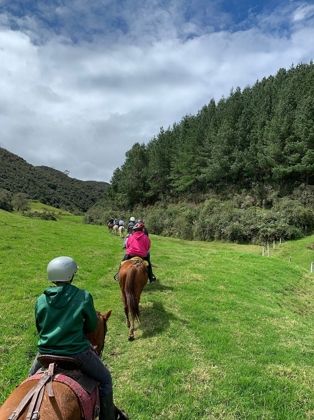 Puntarenas: Mountain & Farm View Horseback Ride + Pick-up Available