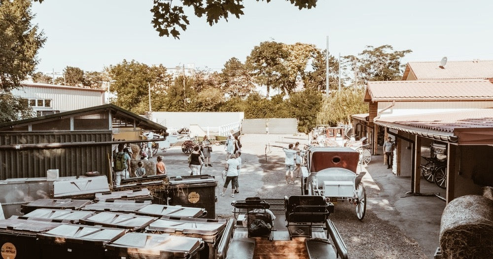 Vienna’s Fiaker Experience – From Stable to City with Breakfast